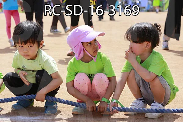 RC-SD-16-3169.jpg