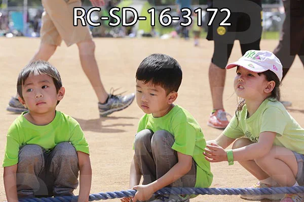 RC-SD-16-3172.jpg