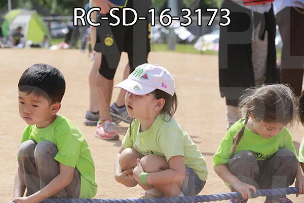 RC-SD-16-3173.jpg