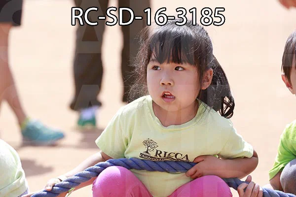 RC-SD-16-3185.jpg