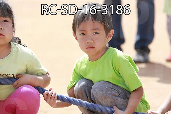 RC-SD-16-3186.jpg