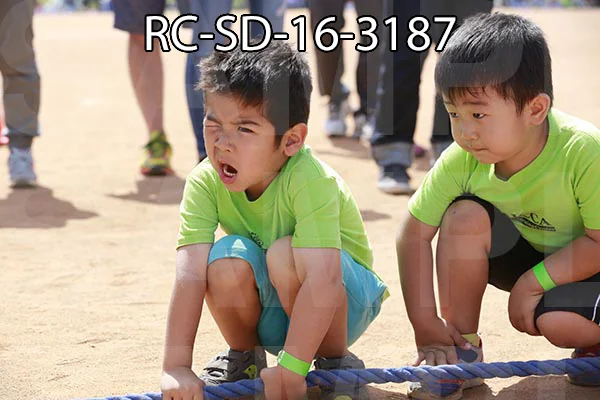 RC-SD-16-3187.jpg