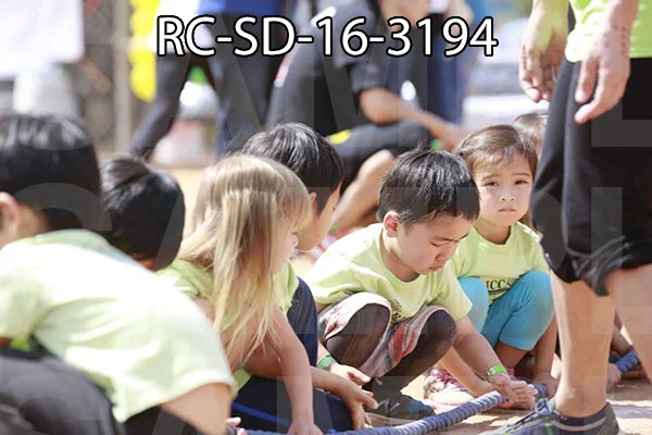 RC-SD-16-3194.jpg