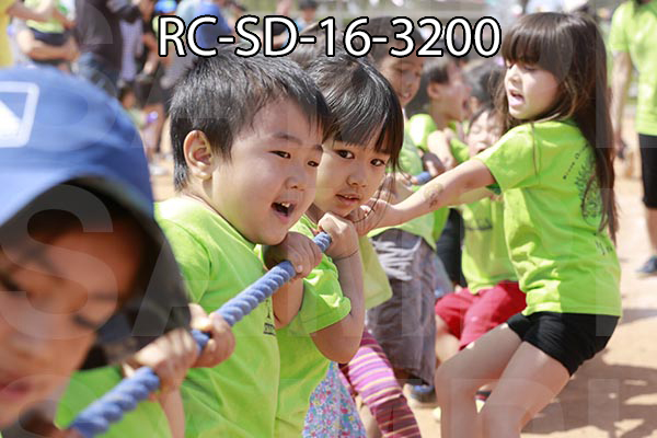 RC-SD-16-3200.jpg
