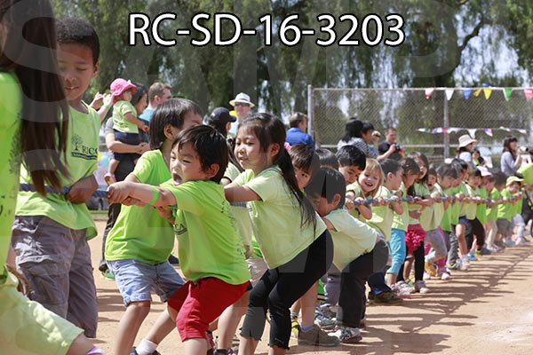 RC-SD-16-3203.jpg