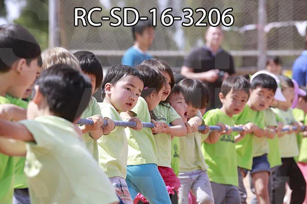 RC-SD-16-3206.jpg