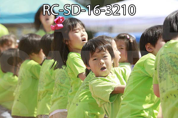 RC-SD-16-3210.jpg