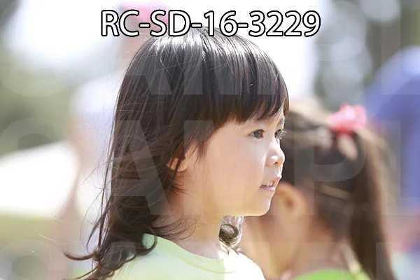 RC-SD-16-3229.jpg