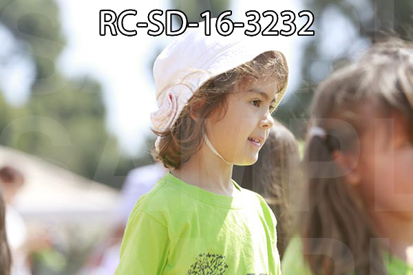 RC-SD-16-3232.jpg