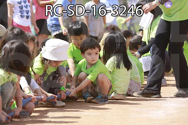 RC-SD-16-3246.jpg