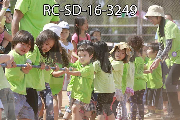 RC-SD-16-3249.jpg