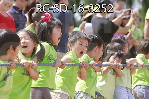 RC-SD-16-3252.jpg