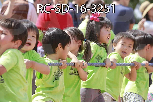 RC-SD-16-3251.jpg