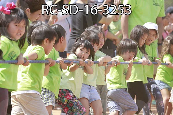 RC-SD-16-3253.jpg