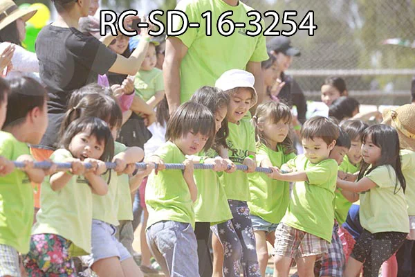 RC-SD-16-3254.jpg