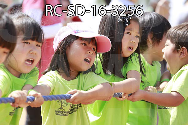 RC-SD-16-3256.jpg