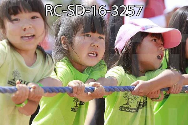 RC-SD-16-3257.jpg