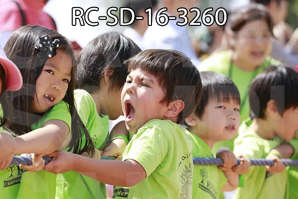 RC-SD-16-3260.jpg