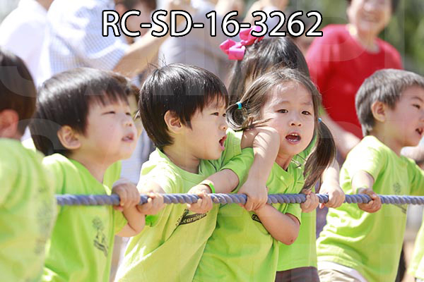RC-SD-16-3262.jpg