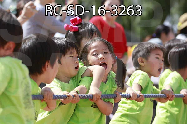 RC-SD-16-3263.jpg