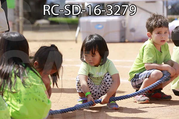 RC-SD-16-3279.jpg