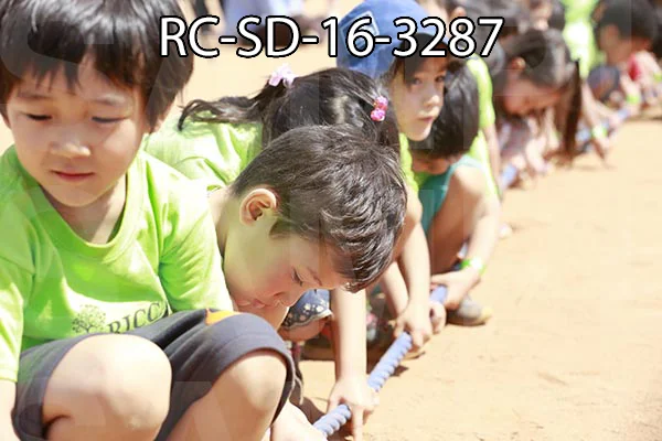 RC-SD-16-3287.jpg
