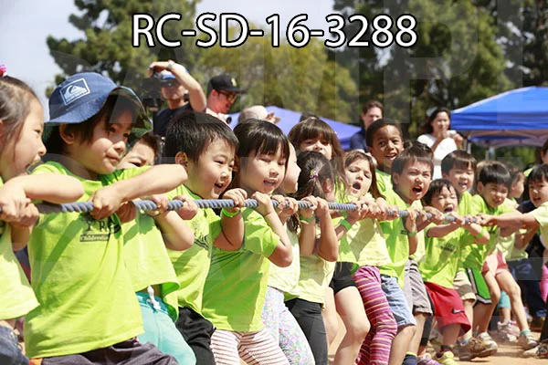 RC-SD-16-3288.jpg