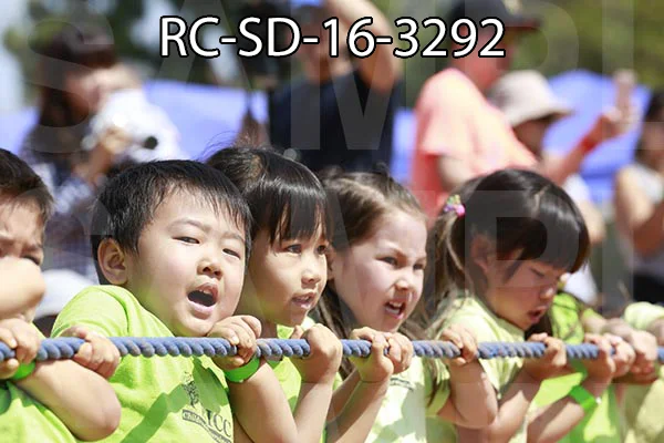RC-SD-16-3292.jpg