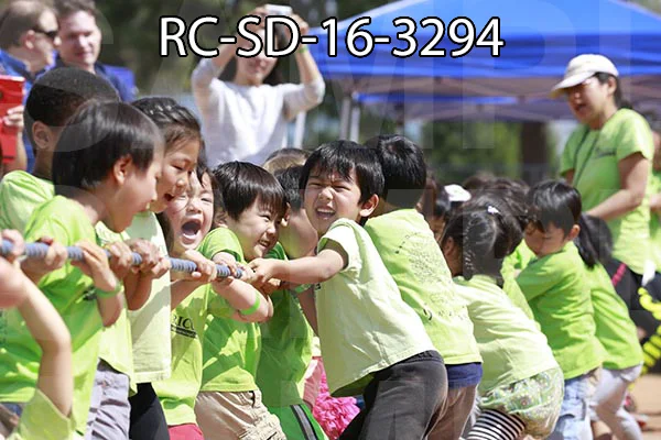 RC-SD-16-3294.jpg