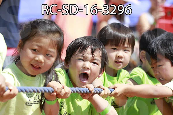 RC-SD-16-3296.jpg