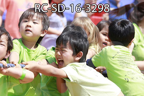 RC-SD-16-3298.jpg
