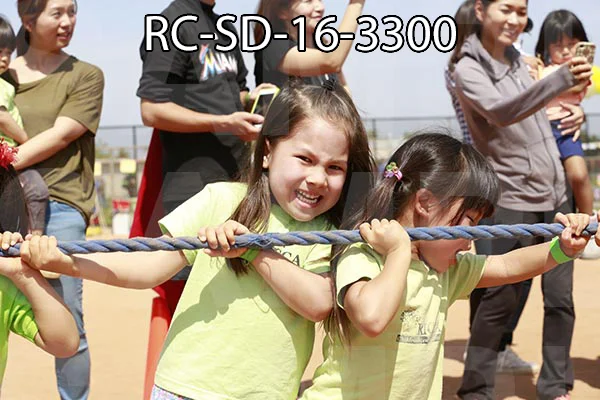 RC-SD-16-3300.jpg
