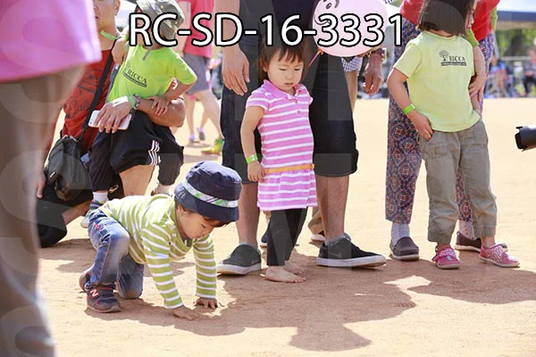 RC-SD-16-3331.jpg