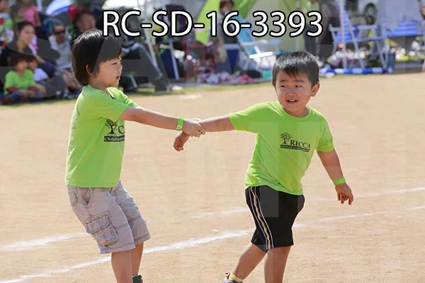 RC-SD-16-3393.jpg