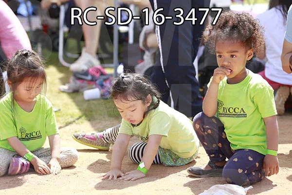 RC-SD-16-3477.jpg
