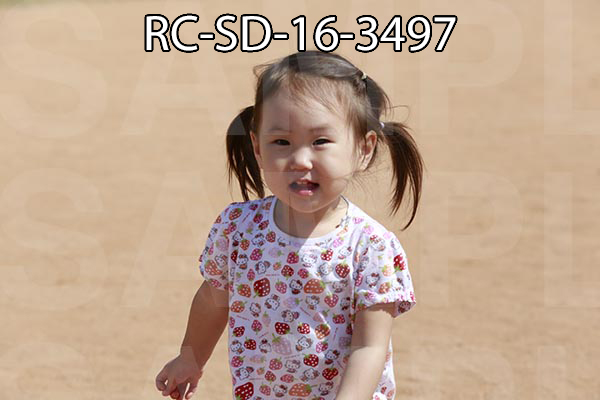 RC-SD-16-3497.jpg