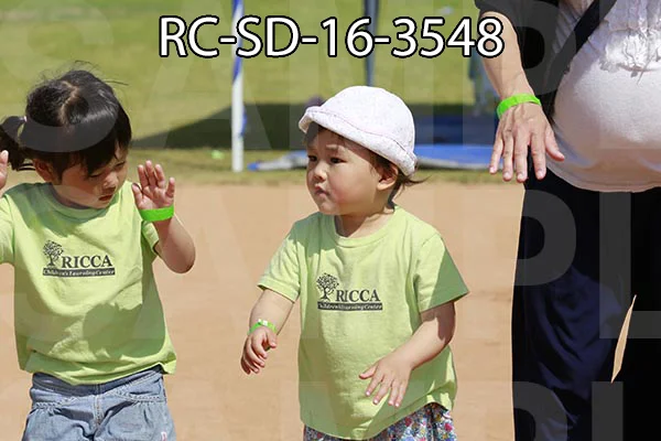 RC-SD-16-3548.jpg
