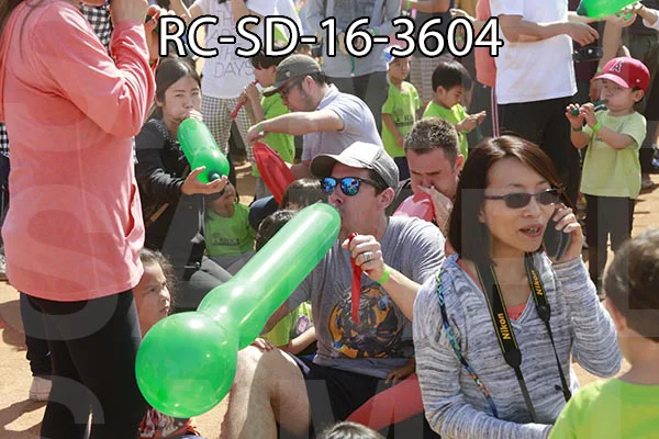 RC-SD-16-3604.jpg
