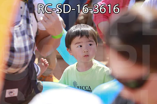RC-SD-16-3616.jpg
