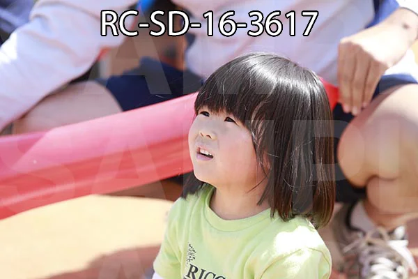 RC-SD-16-3617.jpg