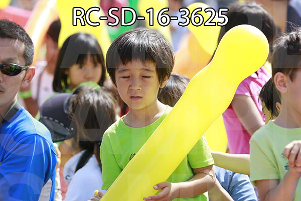 RC-SD-16-3625.jpg