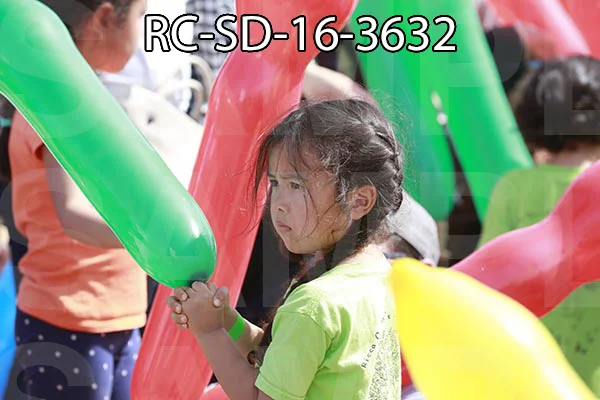 RC-SD-16-3632.jpg