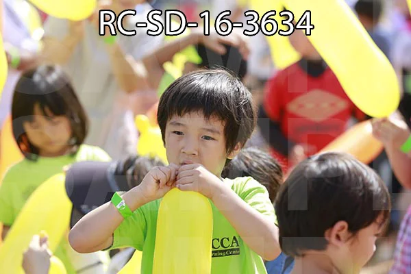 RC-SD-16-3634.jpg
