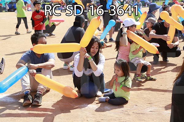 RC-SD-16-3641.jpg
