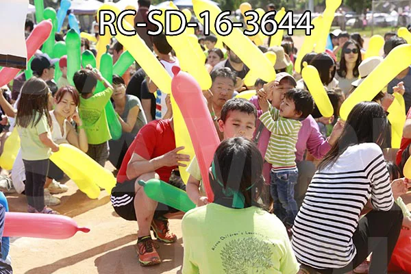 RC-SD-16-3644.jpg