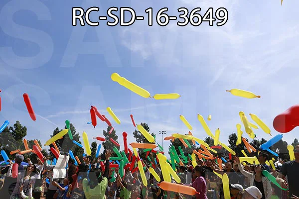 RC-SD-16-3649.jpg