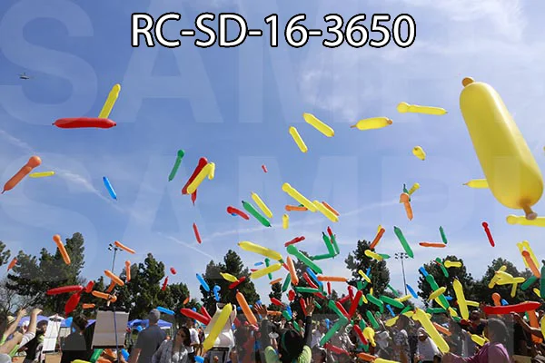 RC-SD-16-3650.jpg