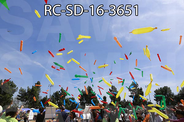 RC-SD-16-3651.jpg