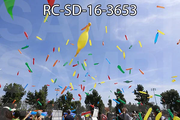 RC-SD-16-3653.jpg