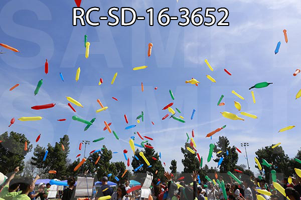 RC-SD-16-3652.jpg